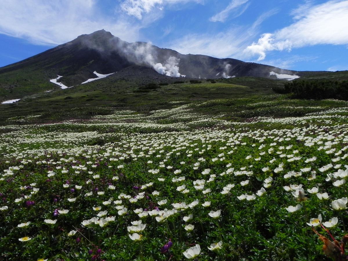 Asahidake Onsen Hotel Deer Valley Higashikawa Buitenkant foto