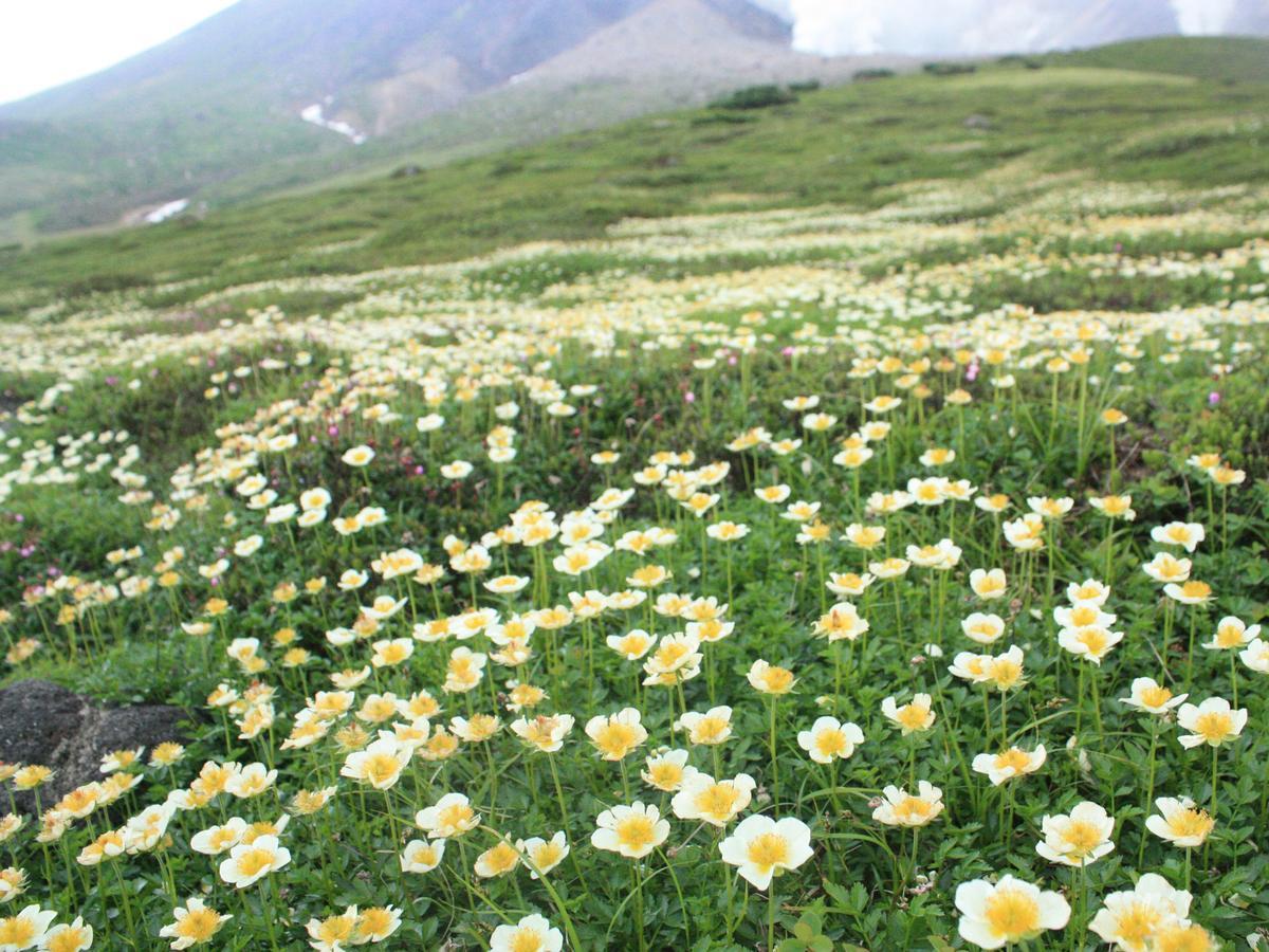 Asahidake Onsen Hotel Deer Valley Higashikawa Buitenkant foto